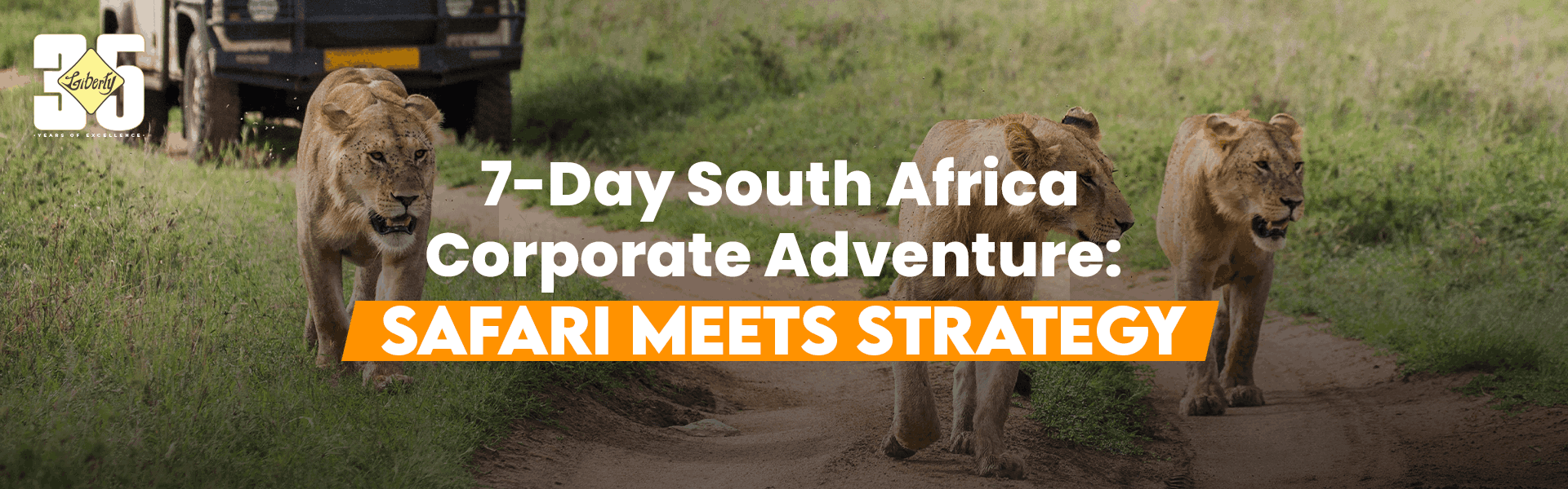 The Hidden Stress of Corporate Travel: How to Reduce It - Copy