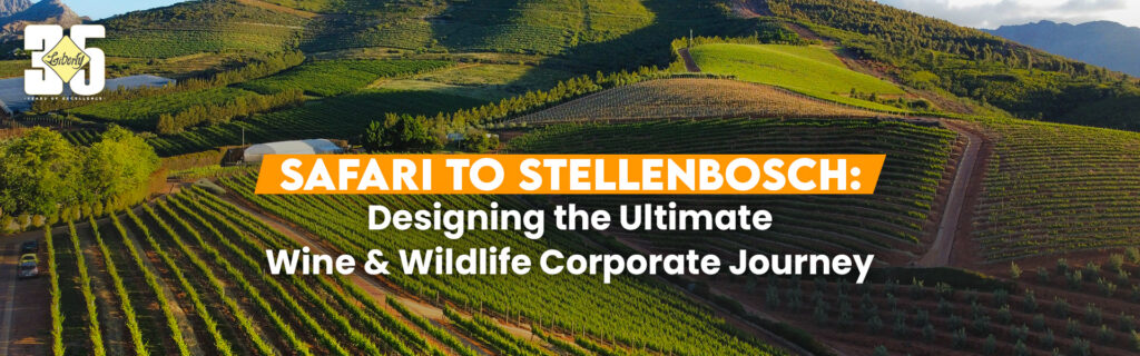 Stellenbosch Wine & Safari