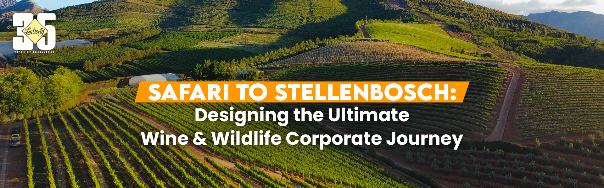 Safari to Stellenbosch: Designing the Ultimate Wine & Wildlife Corporate Journey