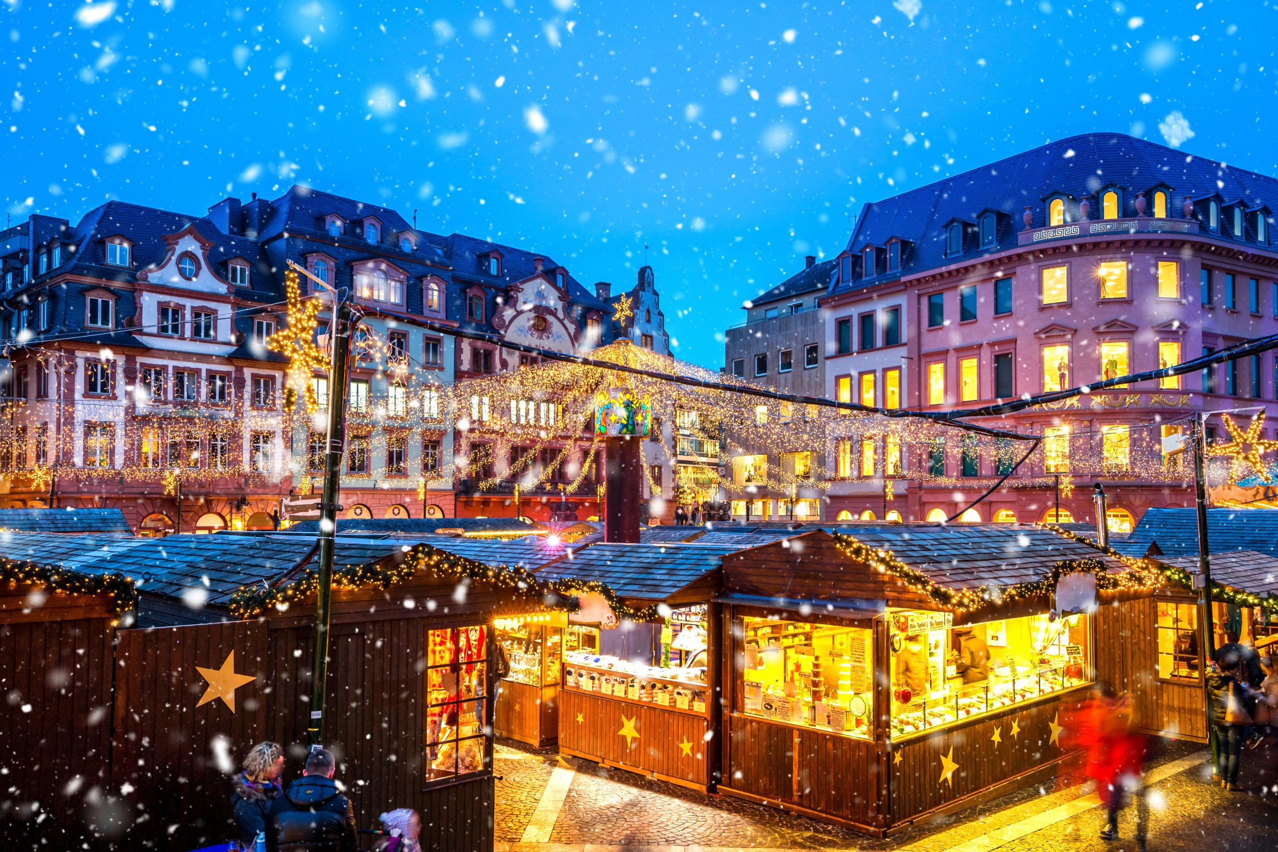 shutterstock_2458445397