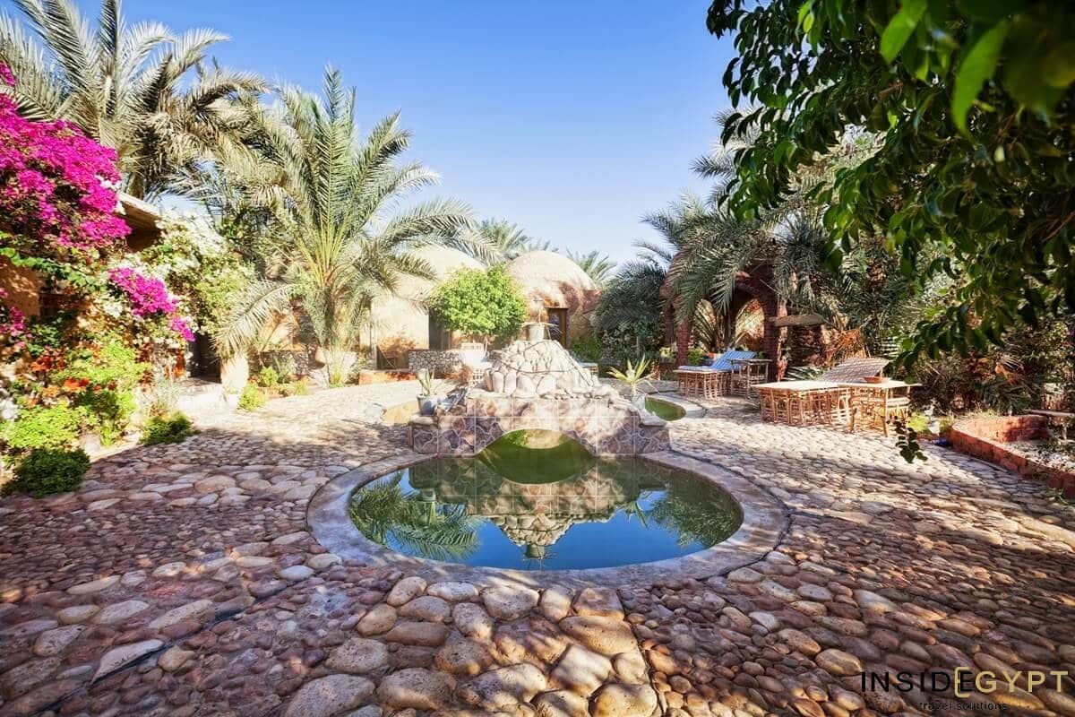 Discover the Hidden Gem of Egypt – Siwa Oasis (Safari Experience)
