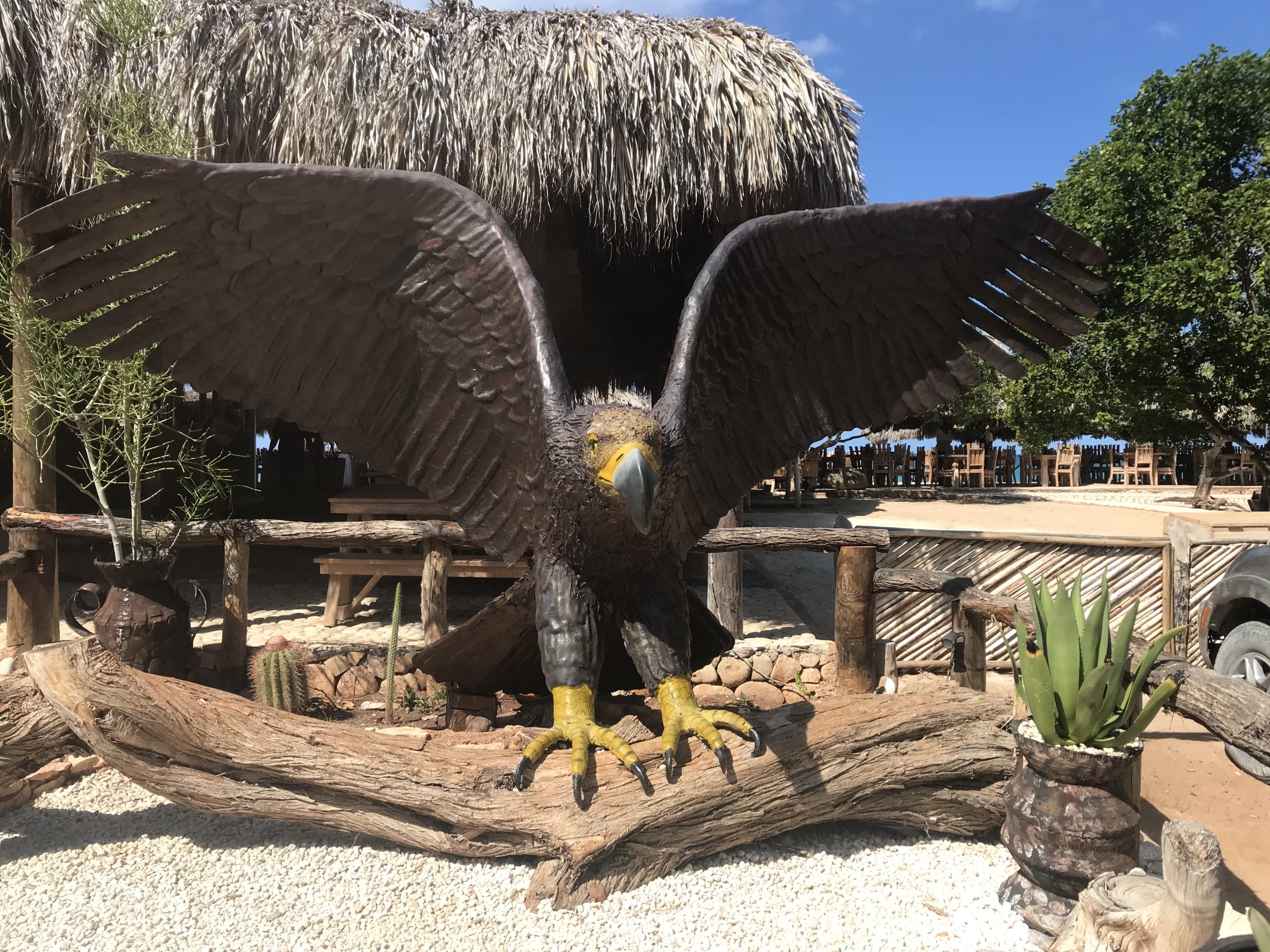 Eco Tour – The Bay of Eagles (Bahía de las Águilas)