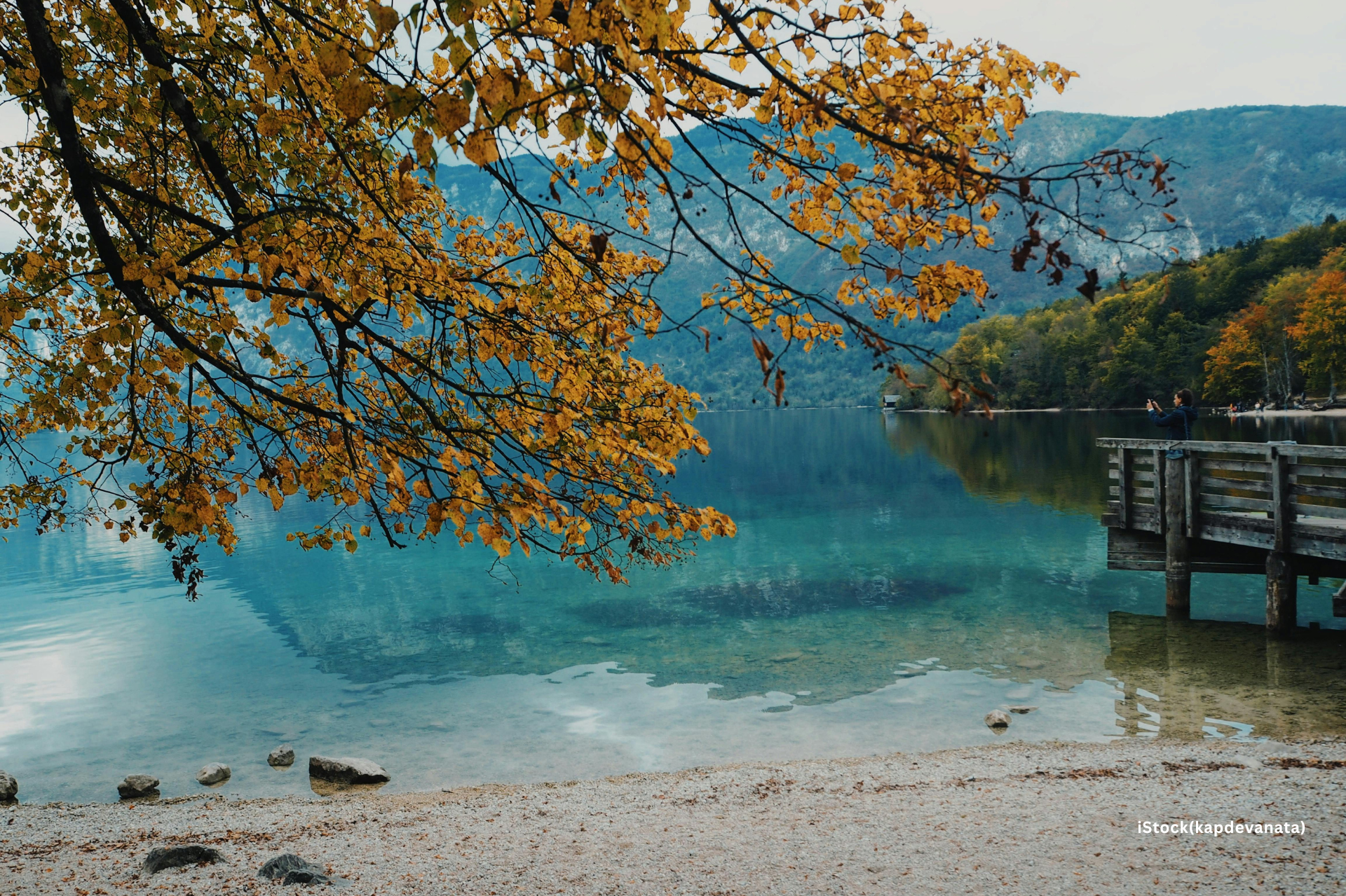 Bohinj_Source-pexels_Auther-kapdevanata7743197