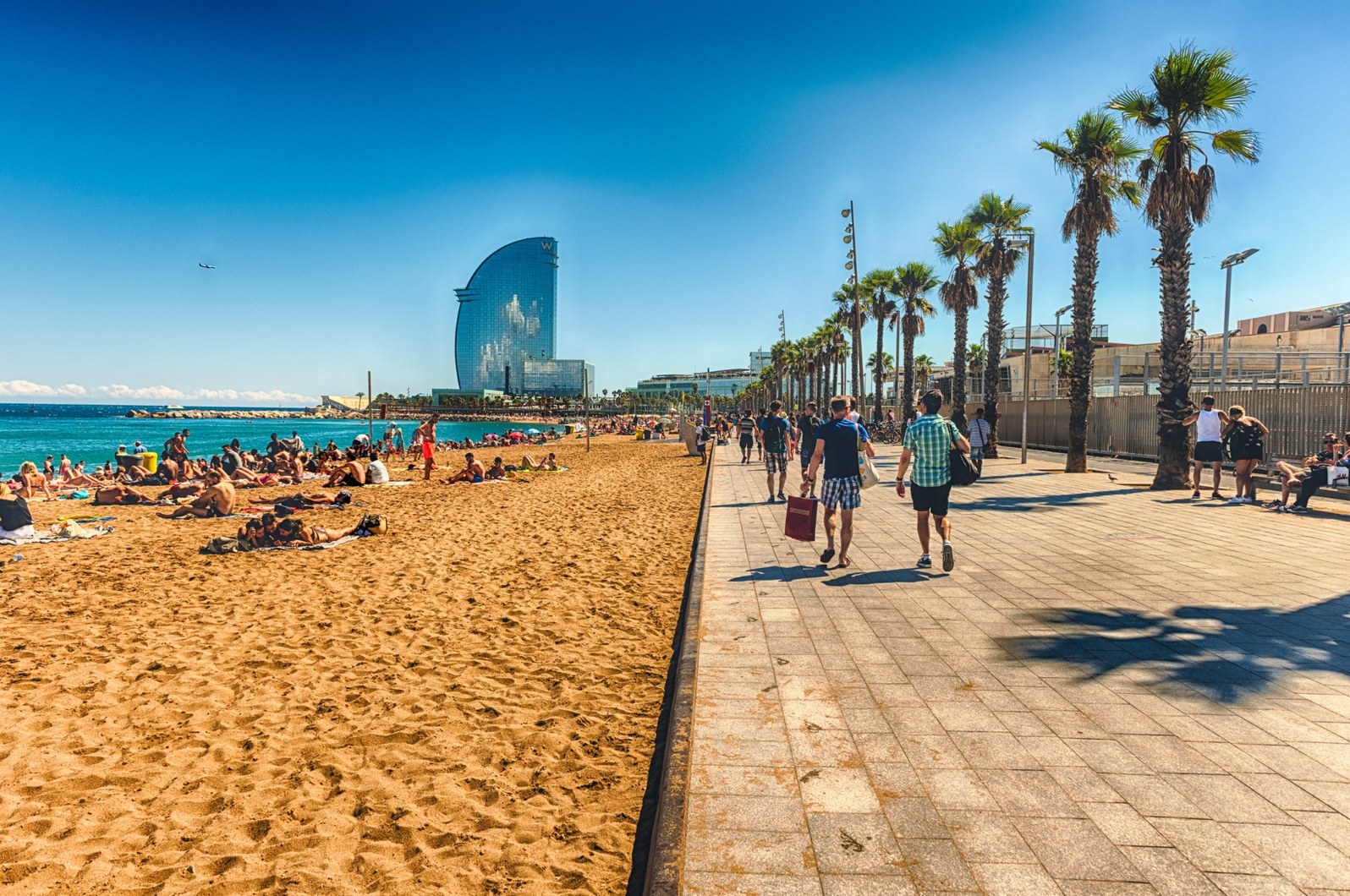 La-Barceloneta-scaled-1_optimized-3