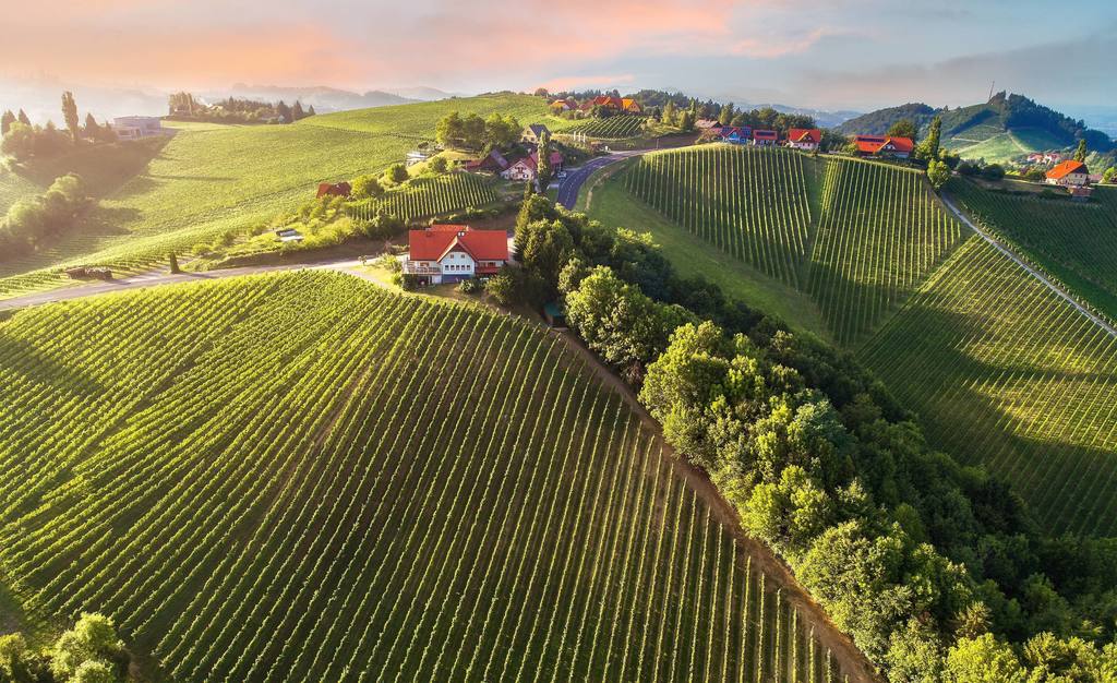 Weinberg-Steiermark