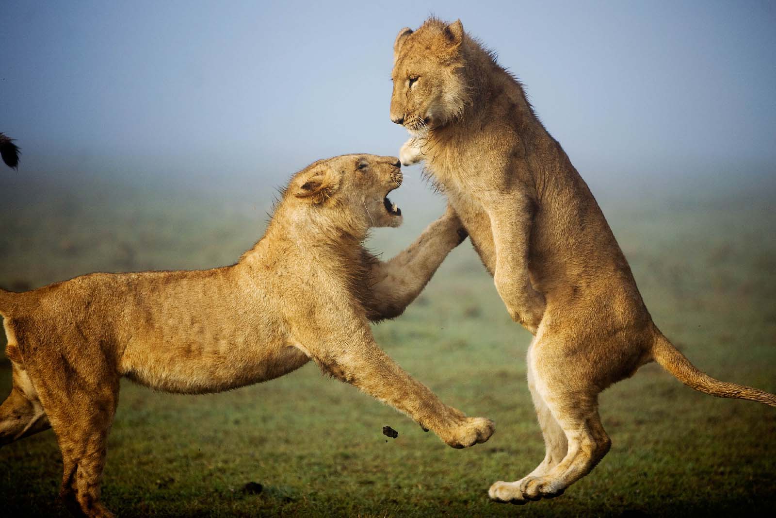 7 Days – The Northern Trails & Southern Plains of Kenya