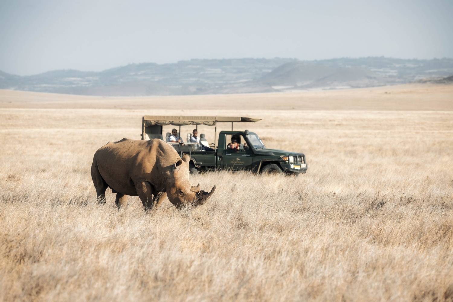 Elewana-Lewa-Safari-Camp-1