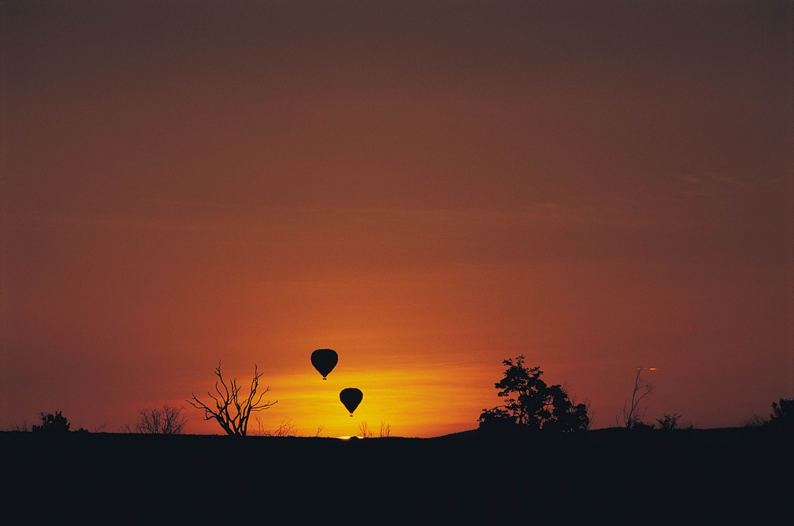 Instinct_of_the_Mara_2023_Balloon_Safari
