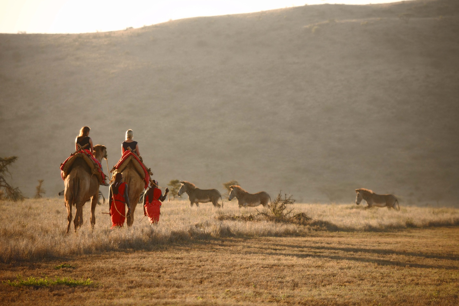 8 Days – A Luxury Fly-In Safari Experience