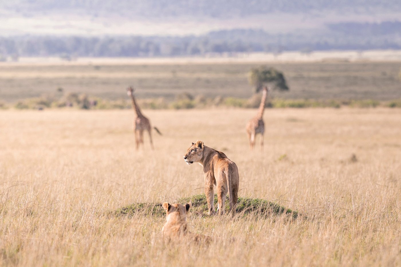 6 Days - Kenya’s Legendary Landscapes
