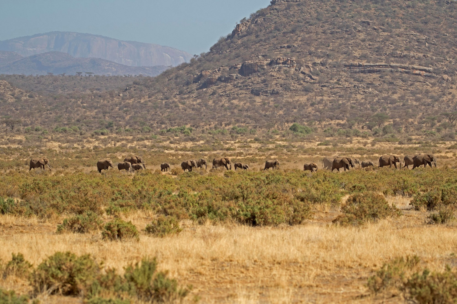 Samburu-Landscape