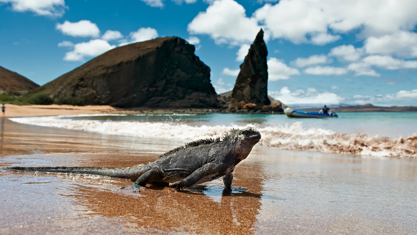 Exploring Ecuador: Culture in Quito, Magic in Galápagos
