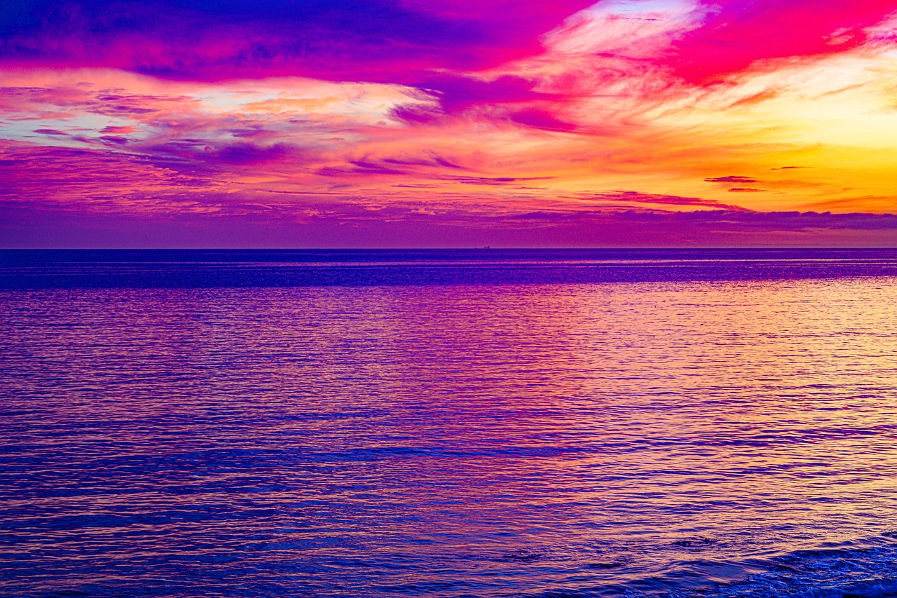 Malibu & Los Angeles Premium Experiences